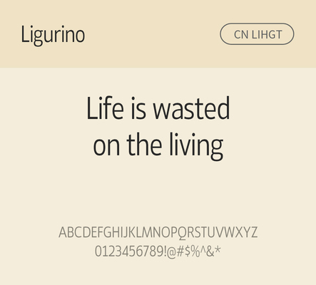 알파벳 영어 폰트 사람없음 OTF 라이트체 낱개폰트 설치폰트 디자인서체 영문폰트 Typodermic_서체 산세리프체 ligurino_서체 ligurinocd_서체 문자 파일형식