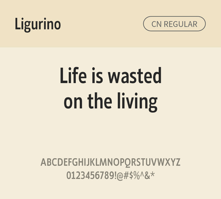 알파벳 영어 폰트 사람없음 OTF 레귤러체 낱개폰트 설치폰트 디자인서체 영문폰트 Typodermic_서체 산세리프체 ligurino_서체 ligurinocd_서체 문자 파일형식