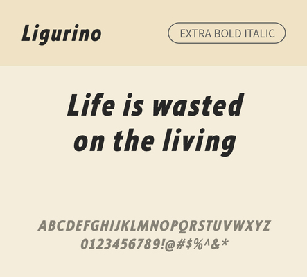 알파벳 영어 폰트 사람없음 OTF 낱개폰트 설치폰트 디자인서체 영문폰트 엑스트라볼드체 Typodermic_서체 산세리프체 이탤릭체 ligurino_서체 문자 파일형식