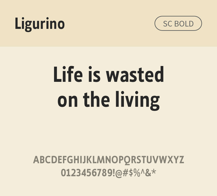 알파벳 영어 폰트 사람없음 OTF 볼드체 낱개폰트 설치폰트 디자인서체 영문폰트 Typodermic_서체 산세리프체 ligurino_서체 ligurinosc_서체 문자 파일형식