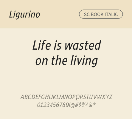 알파벳 영어 폰트 사람없음 OTF 볼드체 낱개폰트 설치폰트 디자인서체 영문폰트 Typodermic_서체 산세리프체 이탤릭체 ligurino_서체 ligurinosc_서체 문자 파일형식
