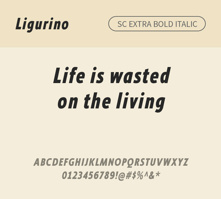 알파벳 영어 폰트 사람없음 OTF 낱개폰트 설치폰트 디자인서체 영문폰트 엑스트라볼드체 Typodermic_서체 산세리프체 이탤릭체 ligurino_서체 ligurinosc_서체 문자 파일형식