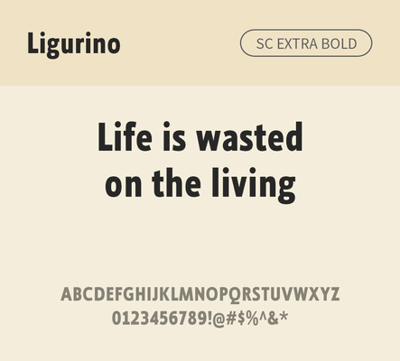 알파벳 영어 폰트 사람없음 OTF 낱개폰트 설치폰트 디자인서체 영문폰트 엑스트라볼드체 Typodermic_서체 산세리프체 ligurino_서체 ligurinosc_서체 문자 파일형식