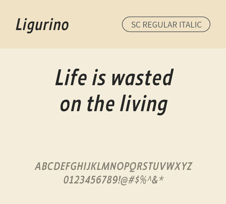 알파벳 영어 폰트 사람없음 OTF 레귤러체 낱개폰트 설치폰트 디자인서체 영문폰트 Typodermic_서체 산세리프체 이탤릭체 ligurino_서체 ligurinosc_서체 문자 파일형식