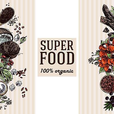 EPS 해외이미지 열매 일러스트 건강 씨앗 사람없음 스케치 코코넛 슈퍼푸드 해외일러스트 식물 과일 미술 건강식품 파일형식 벡터 이미지허브