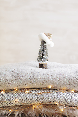 포토 JPG 해외이미지 산타모자 사람없음 크리스마스트리 미니어처 스웨터 니트 미니트리 해외포토 모자_잡화 상의 크리스마스 모형 파일형식 이미지허브