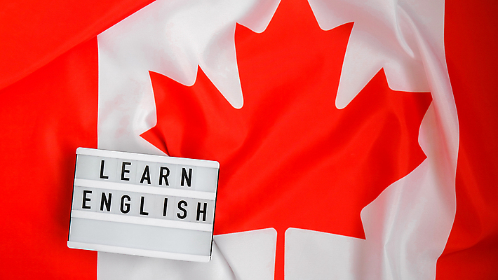 포토 JPG 해외이미지 캐나다 실내 영어교육 사람없음 빨간색 라이트박스 캐나다국기 해외포토 영어 교육 컬러 북아메리카 내부 국기 파일형식 이미지허브