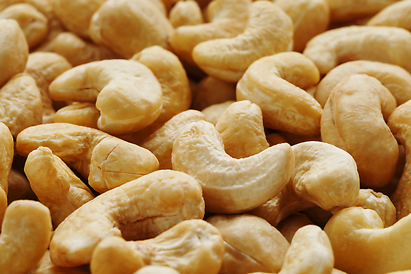 포토 JPG 해외이미지 사람없음 견과류 가득함 베이지색 캐슈넛 해외포토 컬러 파일형식 이미지허브