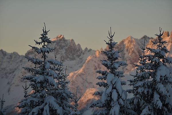 포토 JPG 해외이미지 주간 나무 겨울 사람없음 야외 일몰 눈 겨울풍경 눈덮임 해외포토 자연요소 식물 계절 컨셉 날씨 풍경 노을 파일형식 이미지허브