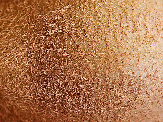 포토 JPG 해외이미지 라이프스타일 음식 조각 백그라운드 과일 재료 부분 건강 키위 요리 씨앗 사람없음 초록색 알약 약 사막 신선 닫기 달콤 먹기 유기농 질감 비타민 멀티 숙성 공급 해외포토 식물 웰빙 컬러 의학 모션 생활 맛 영양소 파일형식 이미지허브