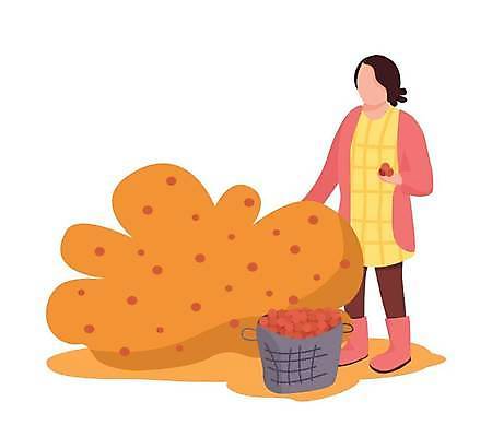 EPS 해외이미지 전신 여자 열매 일러스트 한명 들기 성인 농작물 바구니 주황색 수확 베리 성인여자한명만 해외일러스트 식물 1 컬러 농업 과일 모션 사람 여자한명만 성인여자만 파일형식 벡터 이미지허브