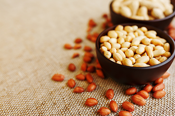 포토 JPG 해외이미지 실내 사람없음 아웃포커스 삼베 담기 땅콩 해외포토 모션 촬영기법 내부 견과류 파일형식 천_직물 이미지허브