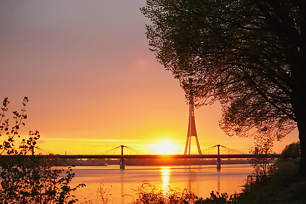 포토 JPG 해외이미지 나무 유럽 자연 아침 사람없음 야외 빛 강 햇빛 일출 일몰 해외포토 주간 식물 나라 태양 노을 생태계 파일형식 이미지허브