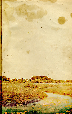 포토 JPG 해외이미지 나무 꽃 종이 호수 백그라운드 밭 자연 표면 날씨 추상 프레임 사람없음 초록색 물 여름 강 노란색 우주 쪽지 수확 점 거친 주름 균열 황폐 허브 질감 복고 심플 페이지 스크래치 찢어짐 시트 자작나무 판지 나쁜 구식 그런지 세피아 양피지 옛날 원고 파피루스 노화 스타일 해외포토 자연요소 식물 계절 컬러 컨셉 무늬 농업 모션 촬영기법 생태계 파일형식 이미지허브