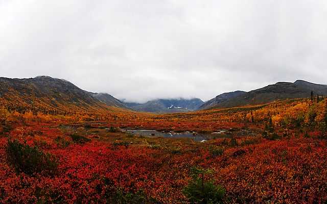 포토 JPG 해외이미지 주간 호수 사람없음 야외 숲 러시아 해외포토 자연요소 유럽 파일형식 이미지허브