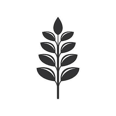 EPS 해외이미지 식물 디자인 음식 빵 농업 일러스트 밥 옥수수 씨앗 농작물 농장 노란색 수확 흰색 낟알 밀 심볼 사인 유기농 귀 밀가루 스파이크 내추럴 고립 밭일 엘리먼트 해외일러스트 웰빙 산업 컬러 곡류 신체부위 가루 파일형식 벡터 이미지허브