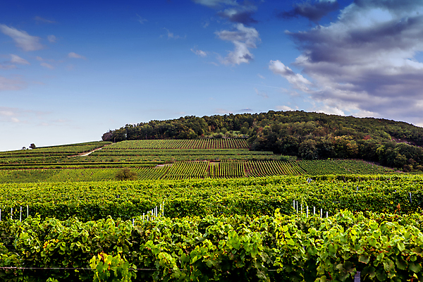 포토 JPG 해외이미지 주간 하늘 사람없음 야외 맑음 프랑스 시골 해외포토 자연요소 유럽 날씨 파일형식 이미지허브
