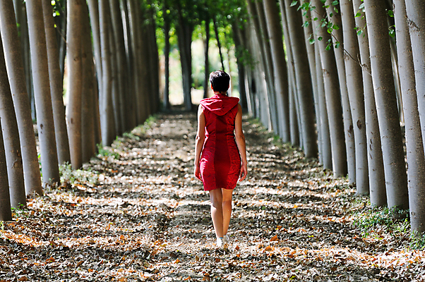포토 JPG 해외이미지 나무 계절 공원 도로 길 잎 자연 한명 야외 목재 빨간색 빛 컬러풀 뷰티 평화 시골 숲 9월 내추럴 땅바닥 미루나무 삼림지대 수목 해외포토 식물 1 공공시설 컬러 컨셉 재료 교통시설 바닥 사람 날짜 생태계 파일형식 이미지허브