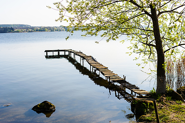 포토 JPG 해외이미지 주간 나무 호수 자연 사람없음 야외 나루터 해외포토 자연요소 식물 항구 생태계 파일형식 이미지허브