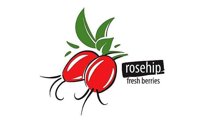 EPS 해외이미지 클립아트 열매 과일 일러스트 사람없음 빨간색 심볼 베리 해외일러스트 식물 컬러 파일형식 벡터 이미지허브