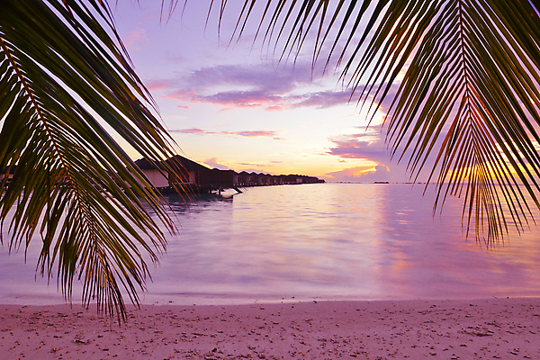 포토 JPG 해외이미지 하늘 주택 해변 사람없음 야외 일몰 야간 수상가옥 야자수잎 해외포토 자연요소 바다 잎 건물 노을 파일형식 이미지허브