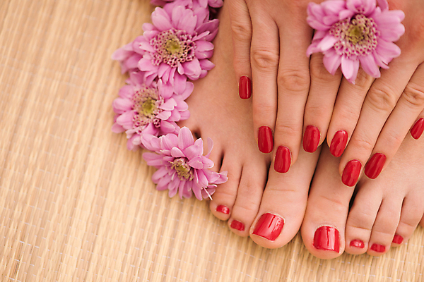 포토 JPG 해외이미지 손 꽃 발 신체부위 네일아트 페디큐어 해외포토 식물 사람 뷰티 파일형식 이미지허브