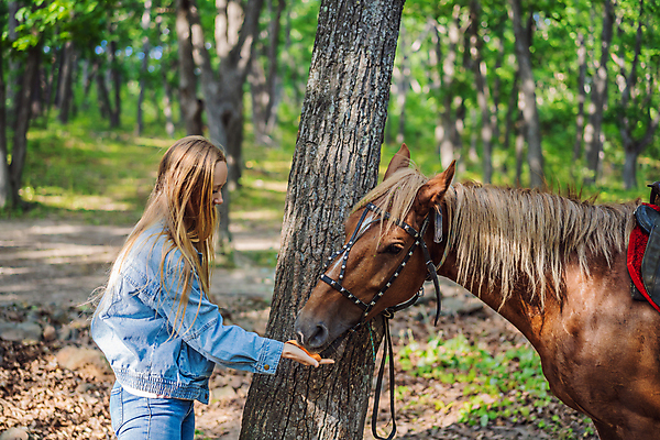 포토 JPG 해외이미지 동물 백인 라이프스타일 여자 행복 얼굴 음식 스포츠 밭 포유류 자연 사랑 한명 미소 사람 초원 야외 여름 반려동물 농장 갈색 머리 귀여움 흰색 볏짚 사과 정상 먹이 먹기 조랑말 기르기 라이더 수유 해외포토 서양인 1 계절 감정 컬러 컨셉 농업 과일 모션 표정 생활 신체부위 말_동물 짚 생태계 돌봄 파일형식 이미지허브
