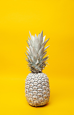 포토 JPG 해외이미지 실내 사람없음 노란색 흰색 파인애플 미니멀 해외포토 컬러 과일 내부 열대과일 파일형식 이미지허브
