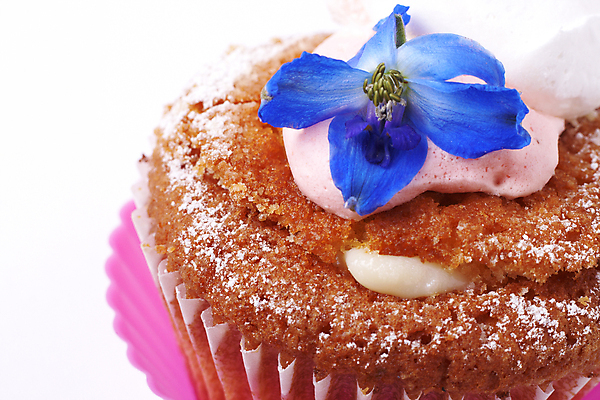 포토 JPG 해외이미지 사람없음 장식 한개 달콤 컵케이크 생크림 슈가파우더 식용꽃 해외포토 1 음식 케이크 맛 크림 파일형식 이미지허브