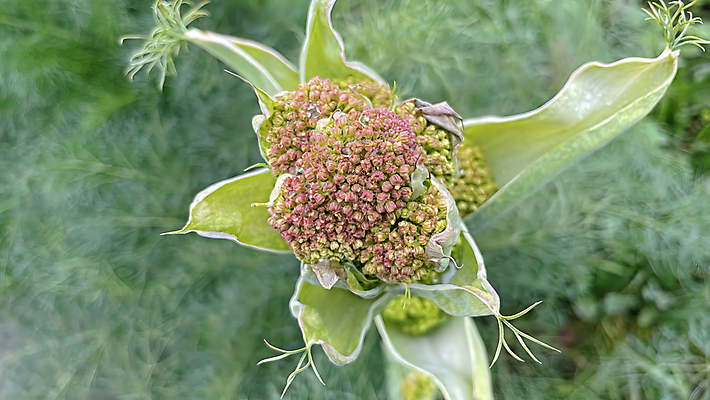 포토 JPG 해외이미지 나무 식물 디자인 배너 계절 공원 꽃잎 꽃 백그라운드 잎 꽃무늬 자연 미술 풍경 초원 사람없음 야외 장식 초록색 여름 컬러풀 햇빛 태양 뷰티 환경 정원 맑음 봄 성장 벚꽃 나뭇가지 신선 개화 4월 원예 내추럴 해외포토 자연요소 공공시설 컬러 무늬 날씨 문화예술 취미 날짜 생태계 파일형식 이미지허브