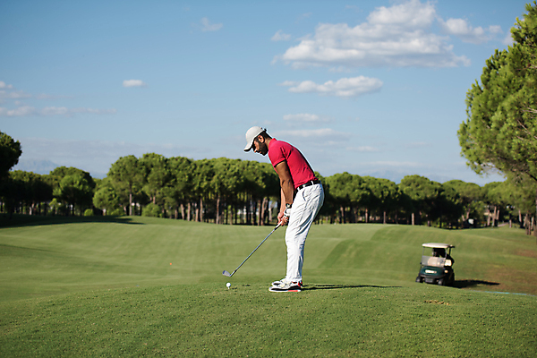 포토 JPG 해외이미지 주간 전신 남자 골프 골프장 하늘 한명 서기 성인 야외 옆모습 골프채 골퍼 골프웨어 준비자세 골프카트 성인남자한명만 해외포토 자연요소 1 옷 뷰포인트 포즈 스포츠시설 모션 운동선수 골프용품 사람 구기 준비 남자한명만 성인남자만 파일형식 이미지허브