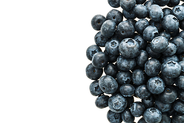 포토 JPG 해외이미지 열매 음식 다이어트 과일 재료 디저트 건강 사람없음 파란색 흰색 신선 그룹 달콤 맛 숲 먹기 유기농 블루베리 날것 고립 숙성 맛있는 해외포토 식물 웰빙 컬러 컨셉 모션 파일형식 이미지허브