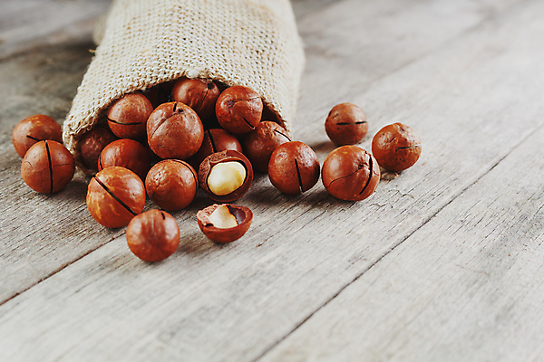 포토 JPG 해외이미지 사람없음 쏟아짐 포대자루 마카다미아 나무배경 해외포토 백그라운드 모션 견과류 자루 파일형식 이미지허브