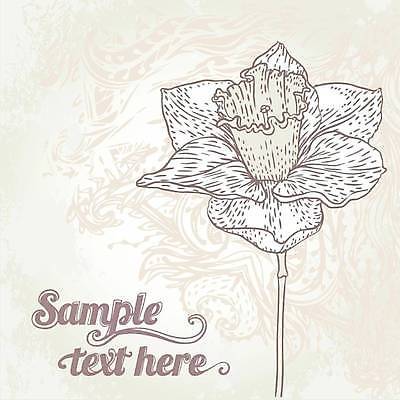 EPS 해외이미지 식물 디자인 꽃잎 꽃 백그라운드 꽃무늬 패턴 곡선 일러스트 자연 벽지 추상 기념 미술 그래픽 장식 귀여움 낭만 수확 골동품 벚꽃 나뭇가지 인사 신용카드 개화 날짜 스케치 심볼 향수 복고 엽서 초대 손그림 패키지 판화 엘리먼트 파스텔톤 국경 해외일러스트 나무 선 컬러 컨셉 무늬 농업 문화예술 금융 화장품 예절 편지 생태계 파일형식 벡터 이미지허브