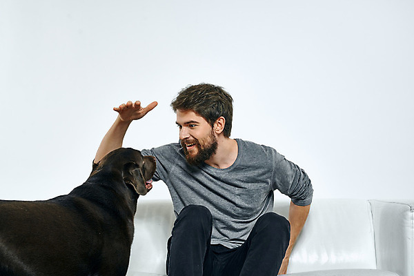 포토 JPG 해외이미지 백인 한마리 남자 반려견 함께함 실내 한명 웃음 앉기 상반신 성인 앞모습 친구 반려동물 소파 손들기 마주보기 우정 강아지 래브라도리트리버 즐거움 흰배경 성인남자한명만 해외포토 서양인 동물 1 감정 뷰포인트 백그라운드 컨셉 의자 관계 모션 표정 사람 내부 흰색 개 리트리버 남자한명만 성인남자만 파일형식 이미지허브