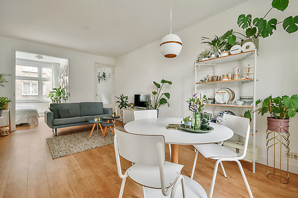 포토 JPG 해외이미지 화분 거실 의자 탁자 전등 실내 사람없음 인테리어 소파 카펫 심플 플랜테리어 해외포토 디자인 가구 조명 내부 파일형식 이미지허브