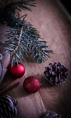 포토 JPG 해외이미지 나무 디자인 계절 행복 별 백그라운드 컨셉 크리스마스 겨울 포장 공 자연 벽지 탁자 휴가 새로움 선물 사람없음 목재 장식 빨간색 초록색 우주 놀람 공백 흰색 축하 소나무 신용카드 12월 연도 활 복고 엽서 전나무 원뿔 시나몬 플랫레이 해외포토 자연요소 도형 식물 기념일 감정 컬러 가구 재료 표정 금융 날짜 플랫 편지 생태계 파일형식 이미지허브