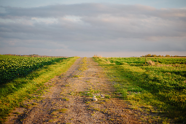 포토 JPG 해외이미지 주간 길 사람없음 야외 시골 해외포토 자연요소 파일형식 이미지허브