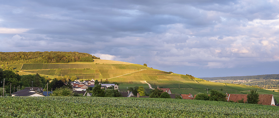 포토 JPG 해외이미지 나무 식물 구름 계절 유럽 산업 도로 음식 파도 여행 백그라운드 밭 농업 과일 자연 하늘 포도 풍경 사람없음 야외 초록색 여름 뷰티 농장 와인 계곡 프랑스 수확 시골 역사 샴페인 언덕 포도밭 장면 포도나무 양조장 줄서기 해외포토 자연요소 나라 길 바다 컬러 교통시설 모션 주류 과일나무 생태계 파일형식 이미지허브