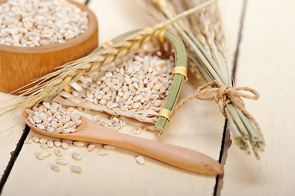 포토 JPG 해외이미지 근접촬영 사람없음 농작물 낟알 보리 보리이삭 해외포토 뷰포인트 농업 곡류 이삭 파일형식 이미지허브