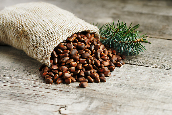 포토 JPG 해외이미지 사람없음 견과류 삼베 쏟아짐 잣 해외포토 모션 파일형식 천_직물 이미지허브