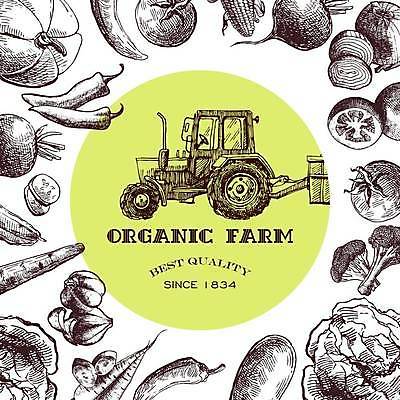 EPS 해외이미지 토마토 채소 일러스트 고추 호박 양파 사람없음 당근 브로콜리 스케치 유기농 트랙터 해외일러스트 웰빙 뿌리채소 미술 농기계 특수차량 파일형식 벡터 이미지허브