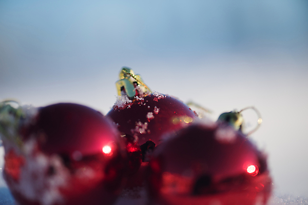 포토 JPG 해외이미지 주간 크리스마스장식 겨울 사람없음 야외 아웃포커스 눈 소프트포커스 오너먼트 해외포토 자연요소 계절 크리스마스 날씨 촬영기법 파일형식 이미지허브