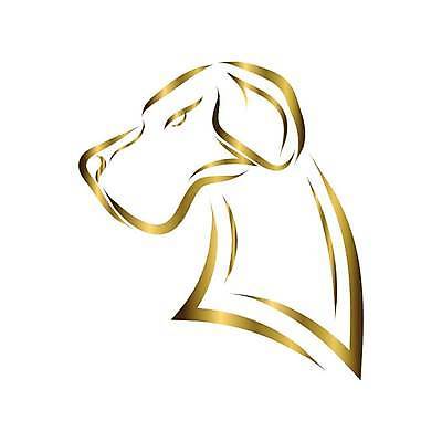 EPS 해외이미지 모양 동물 디자인 행복 실루엣 얼굴 선 일러스트 포유류 잉크 미술 그래픽 반려동물 머리 라벨 힘 황금 개 강아지 큼 스케치 심볼 사인 그림 윤곽 송곳니 고립 기르기 마스코트 엘리먼트 유래 필기체 스타일 해외일러스트 문자 감정 문화예술 프레임 촬영기법 신체부위 치아 크기 돌봄 파일형식 벡터 이미지허브