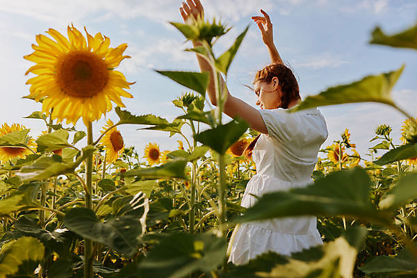 포토 JPG 해외이미지 주간 여자 꽃밭 해바라기 한명 미소 풍경 상반신 성인 야외 옆모습 여름 손들기 만세 성인여자한명만 해외포토 자연요소 1 계절 꽃 뷰포인트 모션 표정 사람 여자한명만 성인여자만 파일형식 이미지허브