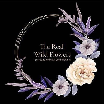 EPS 해외이미지 꽃 잎 일러스트 사람없음 보라색 검은색 분위기 손그림 감성 원형프레임 꽃프레임 해외일러스트 식물 컬러 컨셉 프레임 원형 파일형식 벡터 이미지허브