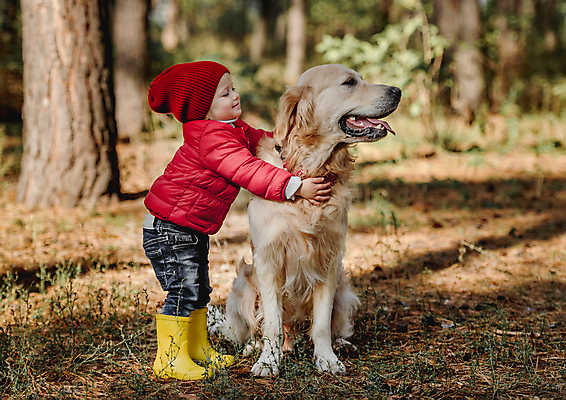 포토 JPG 해외이미지 주간 전신 한마리 여자 반려견 어린이 안기 함께함 한명 서기 앉기 야외 옆모습 아웃포커스 반려동물 산책 골든리트리버 강아지 숲속 즐거움 소녀한명만 해외포토 자연요소 동물 1 감정 뷰포인트 컨셉 모션 휴식 촬영기법 사람 개 리트리버 숲 여자한명만 소녀만 파일형식 이미지허브