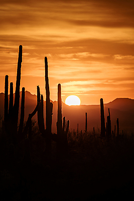 포토 JPG 해외이미지 공원 모래 여행 오렌지 자연 하늘 산 선인장 파노라마 국립공원 숙이기 사람없음 야외 빨간색 파란색 빛 강 태양 일출 골짜기 미국 일몰 절벽 폭포 사막 동굴 숲 땅 영양 페이지 사암 애리조나 편자 수평선 해외포토 자연요소 식물 공공시설 컬러 포즈 북아메리카 과일 촬영기법 노을 돌_바위 생태계 말발굽 파일형식 이미지허브