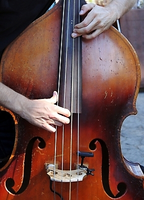 포토 JPG 해외이미지 손 남자 줄 음악 손가락 기술 미술 사람없음 세로 화목 콘서트 공연 음악가 장비 기구 클래식 회의실 그네 재즈 오케스트라 구성 멜로디 뮤지컬 베이스 작곡가 플레이어 해외포토 직업 컨셉 현악기 문화예술 사람 이벤트 신체부위 악단 파일형식 이미지허브