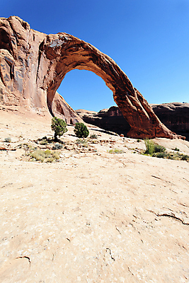 포토 JPG 해외이미지 공원 여행 날씨 산 건조 파노라마 사람없음 강 뷰티 환경 골짜기 하이킹 사막 큼 부식 아치 지역 사암 내추럴 무인 생태학 서쪽 전국 지질학 콜로라도 해외포토 공공시설 교육 자연 레저 촬영기법 미국 돌_바위 크기 방향 파일형식 이미지허브